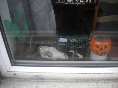 2022 Gwydir St Halloween window